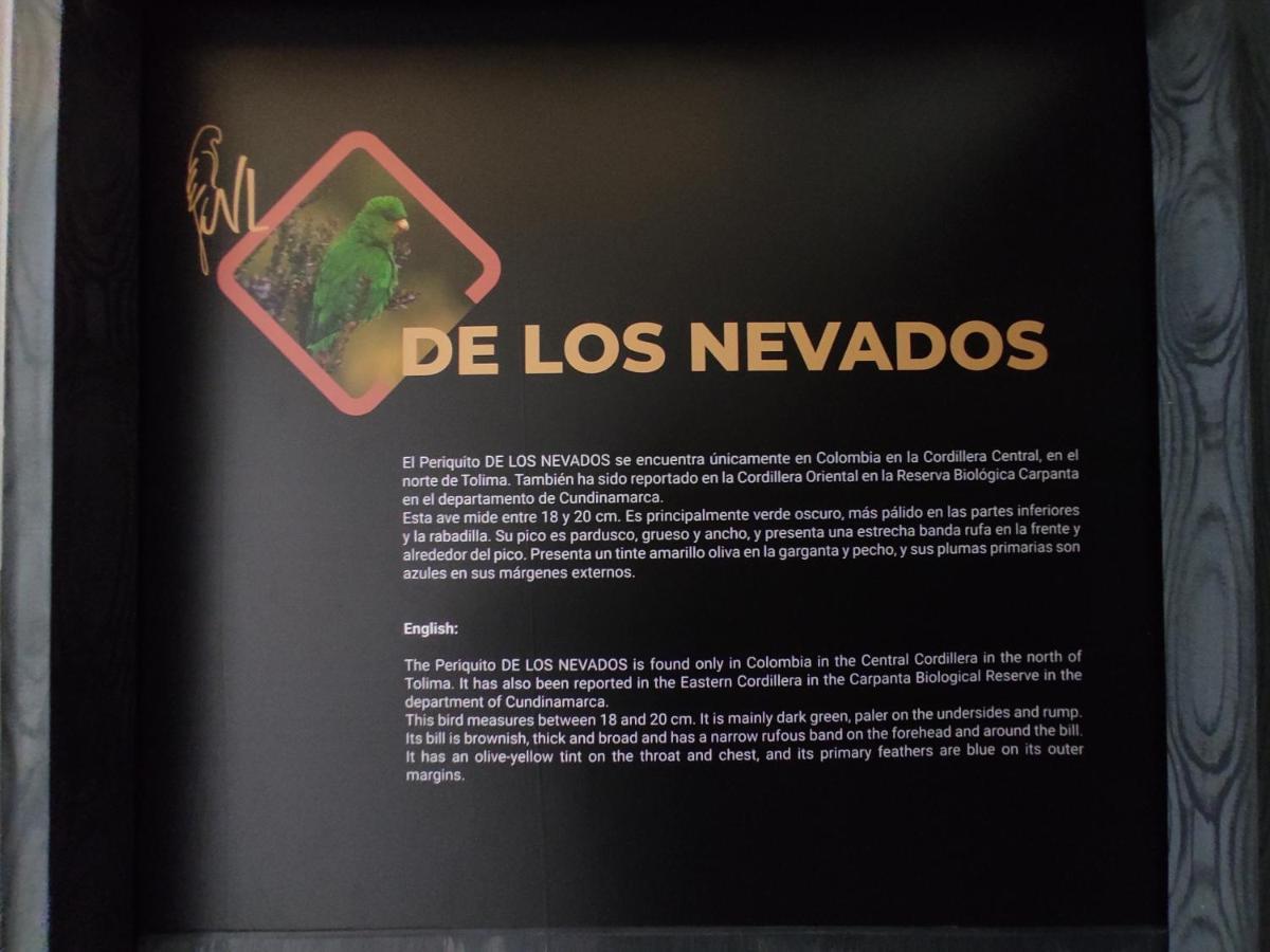 Hostel Boutique Nido De Loros Medellin Bagian luar foto
